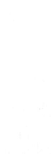 13AW1 (OF011) ENTRANCE GLOSS WHITE 100X300